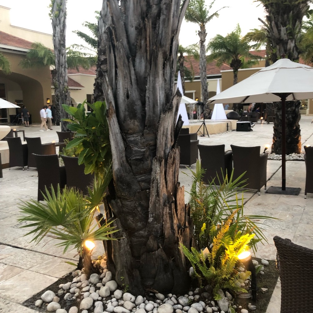 Meet your Posher, Layla